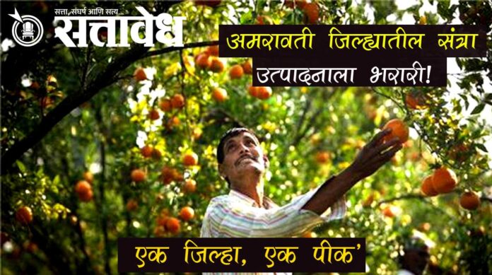 One District One Crop