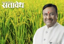 Sudhir Mungantiwar : धान उत्पादकांना हेक्टरी २० हजारांची प्रोत्साहनपर मदत द्या; विधानसभेत मुनगंटीवारांचा आग्रह