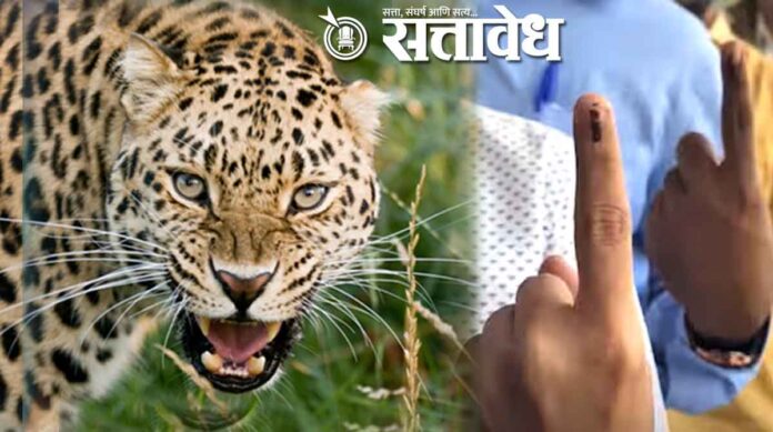 Nagar Parishad Elections