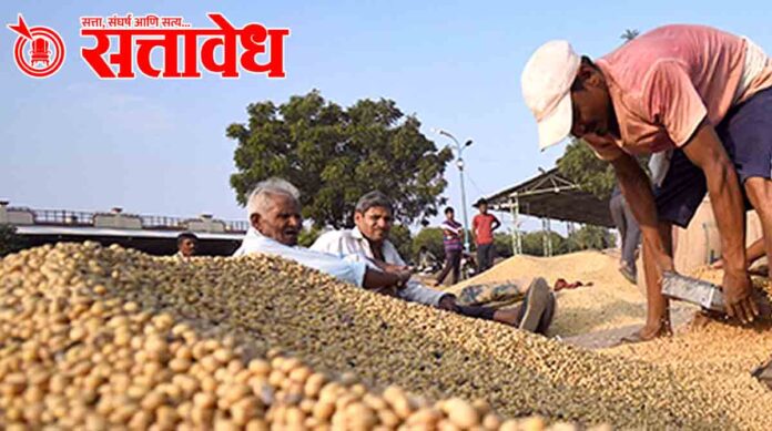 soybean procurement process