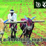 Vidarbha Farmers : शेतकरी कर्जमाफीसाठी आकडेमोड सुरू!