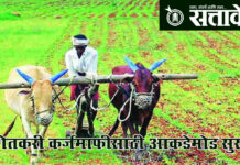 Vidarbha Farmers : शेतकरी कर्जमाफीसाठी आकडेमोड सुरू!