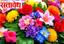 Plastic flowers ban : लग्नसजावटीत प्लास्टिक फुले वापरल्यास डेकोरेटर व हॉलवरही कारवाई!