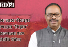 Mihan Nagpur : एक लाख नोकऱ्या देणाऱ्या ‘मिहान’ प्रकल्पाला २४० कोटींचे पॅकेज