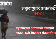February forecast : महाराष्ट्रावर अवकाळी पावसाचे सावट;रब्बी पिकांवर संकटाची छाया