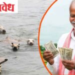 Flood livestock compensation : अतिवृष्टीग्रस्त पशुपालकांना दिलासा : मदतीच्या नियमांमध्ये बदल