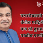 Nitin Gadkari : नगरसेवकाने काम केलेच पाहिजे, पण तो तुमचा पाळीव प्राणी नाही!