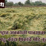 Unseasonal rain : महाराष्ट्रात अवकाळी पावसाचा कहर, द्राक्ष-गहू-कांदा पिकांचे मोठे नुकसान