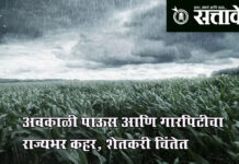 Unseasonal rain : अवकाळी पाऊस आणि गारपिटीचा राज्यभर कहर, शेतकरी चिंतेत