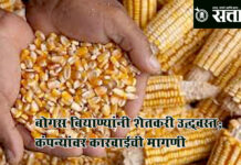 fake seeds : बोगस बियाण्यांनी शेतकरी उद्ध्वस्त; कंपन्यांवर कारवाईची मागणी