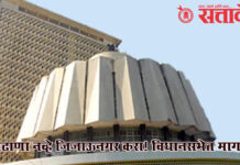 Maharashtra assembly : बुलढाणा नव्हे जिजाऊनगर करा! विधानसभेत मागणी