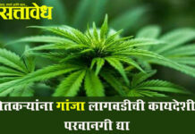 Vidarbha Farmers : शेतकऱ्यांना गांजा लागवडीची कायदेशीर परवानगी द्या