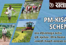 PM Kisan Scheme : पाच महिन्यांपासून फाईल पुणे-मुंबईतच; पीएम किसान लाभार्थी शेतकरी न्यायाच्या प्रतीक्षेत