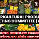 Deulgao raja APMC : सभापती, उपसभापती आणि संचालकांचा राजीनामा, बाजार समितीत चाललय काय?