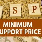 Minimum Support Price (MSP) scheme : आधारभूत किंमत योजनेत मका विकला, तीन महिन्यांपासून पैशांचा पत्ता नाही
