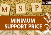 Minimum Support Price (MSP) scheme : आधारभूत किंमत योजनेत मका विकला, तीन महिन्यांपासून पैशांचा पत्ता नाही