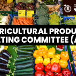 Malkapur APMC : मलकापूर बाजार समितीत शेतकऱ्यांकडून ‘अवैध भाडे’ वसुली; विरोधकांचा सत्ताधाऱ्यांवर निशाणा