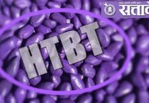 Vidarbha Farmers : एचटीबीटी बियाणांचा साडेचार लाखांचा साठा जप्त; कृषी विभागाची संग्रामपूर तालुक्यात कारवाई