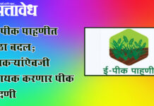 e-Crop Inspection : ई-पीक पाहणीत मोठा बदल; शेतकऱ्यांऐवजी सहायक करणार पीक नोंदणी