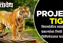 Tiger reserve projects : विदर्भातील व्याघ्र प्रकल्पांचा निधी वळवला, विधिमंडळात पडसाद