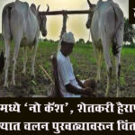 Vidarbha Farmers : खरीप हंगामात रोकडीचा तुटवडा; जिल्हाधिकाऱ्यांचे रिझर्व्ह बँकेला साकडे