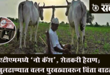 Vidarbha Farmers : खरीप हंगामात रोकडीचा तुटवडा; जिल्हाधिकाऱ्यांचे रिझर्व्ह बँकेला साकडे