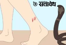 Snakebite notified disease : सर्पदंश आता ‘अधिसूचित आजार’