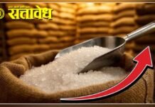 Sugar Price Hike : साखरेच्या दरवाढीला लगाम घालण्यासाठी केंद्राचा मोठा निर्णय