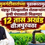 Sudhir Mungantiwar: मुनगंटीवारांच्या पुढाकारामुळे चंद्रपूर जिल्ह्यातील शेतकऱ्यांना कृषी पंपासाठी मिळणार १२ तास अखंड वीजपुरवठा