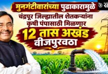 Sudhir Mungantiwar: मुनगंटीवारांच्या पुढाकारामुळे चंद्रपूर जिल्ह्यातील शेतकऱ्यांना कृषी पंपासाठी मिळणार १२ तास अखंड वीजपुरवठा