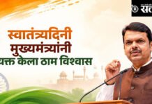 Devendra Fadnavis: उद्योग असो वा विकास महाराष्ट्र नंबर होता आणि राहील वन