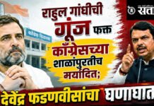 Devendra Fadnavis : राहुल गांधींची गुंज फक्त काँग्रेसच्या शाळांपुरतीच मर्यादित, देवेंद्र फडणवीसांचा घणाघात