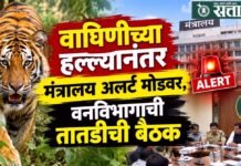 Tigress attack : वाघिणीच्या हल्ल्यानंतर मंत्रालय अलर्ट मोडवर, वनविभागाची तातडीची बैठक