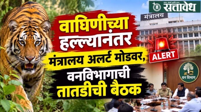 Forest Department goes