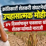Vidarbha Farmers : पावसाअभावी पिके संकटात; ‘पालकमंत्र्यांनी बांधावर येऊन पाहणी करावी’