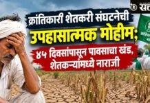 Vidarbha Farmers : पावसाअभावी पिके संकटात; ‘पालकमंत्र्यांनी बांधावर येऊन पाहणी करावी’
