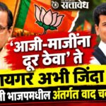 Ravi Rana, Anil Bonde : ‘आजी-माजींना दूर ठेवा’ ते ‘टायगर अभी जिंदा है’; अमरावती भाजपमधील अंतर्गत वाद चव्हाट्यावर