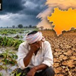 नागपूर, वर्धा, चंद्रपूरमध्ये पावसाची बोंब; खरीप पिके संकटात!