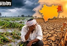 नागपूर, वर्धा, चंद्रपूरमध्ये पावसाची बोंब; खरीप पिके संकटात!