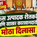 Cabinet Meeting : ऊस उत्पादक शेतकरी आणि साखर कारखानदारांना मोठा दिलासा !