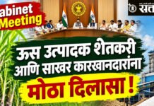 Cabinet Meeting : ऊस उत्पादक शेतकरी आणि साखर कारखानदारांना मोठा दिलासा !