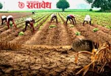 शेतमजूर संकटात होते, मुख्यमंत्र्यांनी घेतला मोठा निर्णय