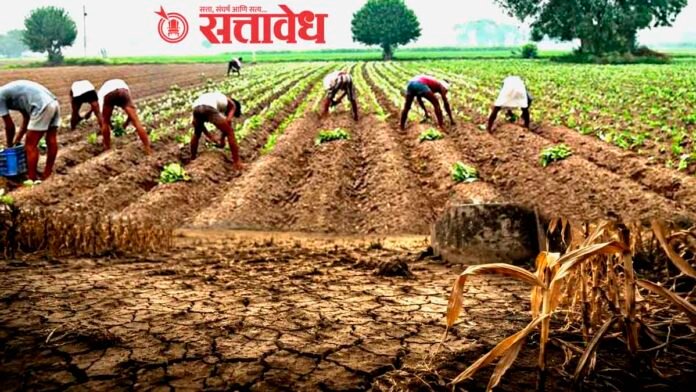 latest-marathi-news - 12