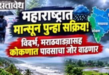 Monsoon Alert : महाराष्ट्रात मान्सून पुन्हा सक्रिय! विदर्भ, मराठवाड्यासह कोकणात पावसाचा जोर वाढणार