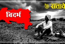 विदर्भातील या तालुक्यांमधील शेतकऱ्यांना मिळणार दुष्काळाची मदत