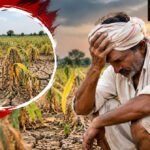 चार मुख्यमंत्री झाले पण प्रश्न कायमच, नेत्यांनी निर्णायक भूमिका घेण्याची मागणी !